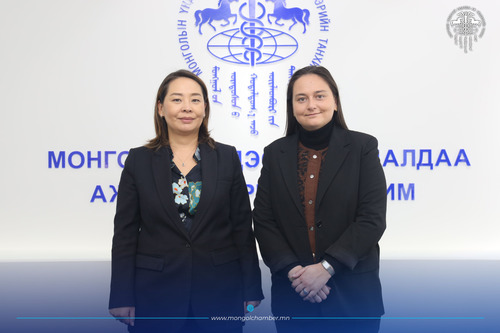 МОНГОЛ-ФРАНЦЫН БИЗНЕС, ХӨРӨНГӨ ОРУУЛАЛТЫН ХАМТЫН АЖИЛЛАГААНЫ ШИНЭ БОЛОМЖУУДЫГ ЯРИЛЦЛАА